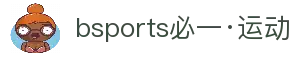 必一(运动科技有限公司)官方网站-B·Sport